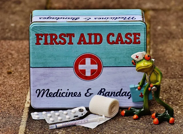 first aid training february 2016 13