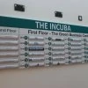 Incuba occupiers